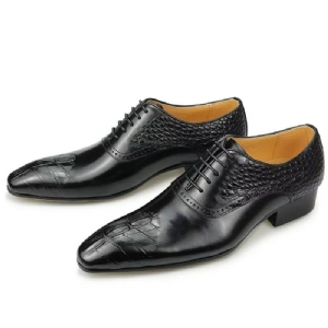 Sapatos Formais Masculinos Couro Luxo Opulento Brogue Oxford Nupciais