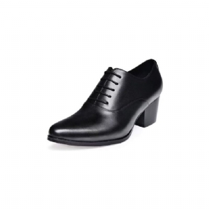 Sapatos Formais Masculinos Couro Oxford