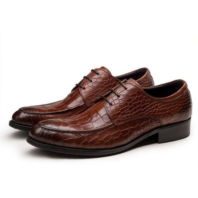 Sapatos Formais Masculinos Couro Vaca Derby - Café