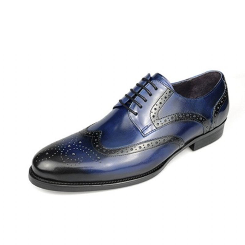 Sapatos Formais Masculinos Couro Vaca Exótico Com Cordões Oxford - Azul