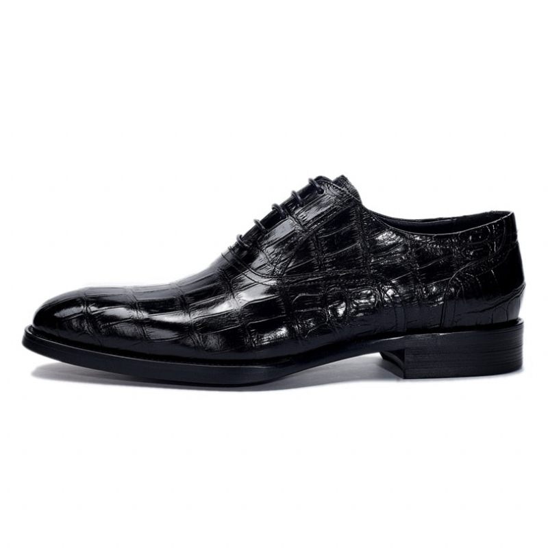 Sapatos Formais Masculinos Crocdress Luxo Padrão Crocodilo Oxford - Preto