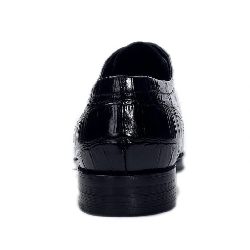 Sapatos Formais Masculinos Crocdress Luxo Padrão Crocodilo Oxford - Preto