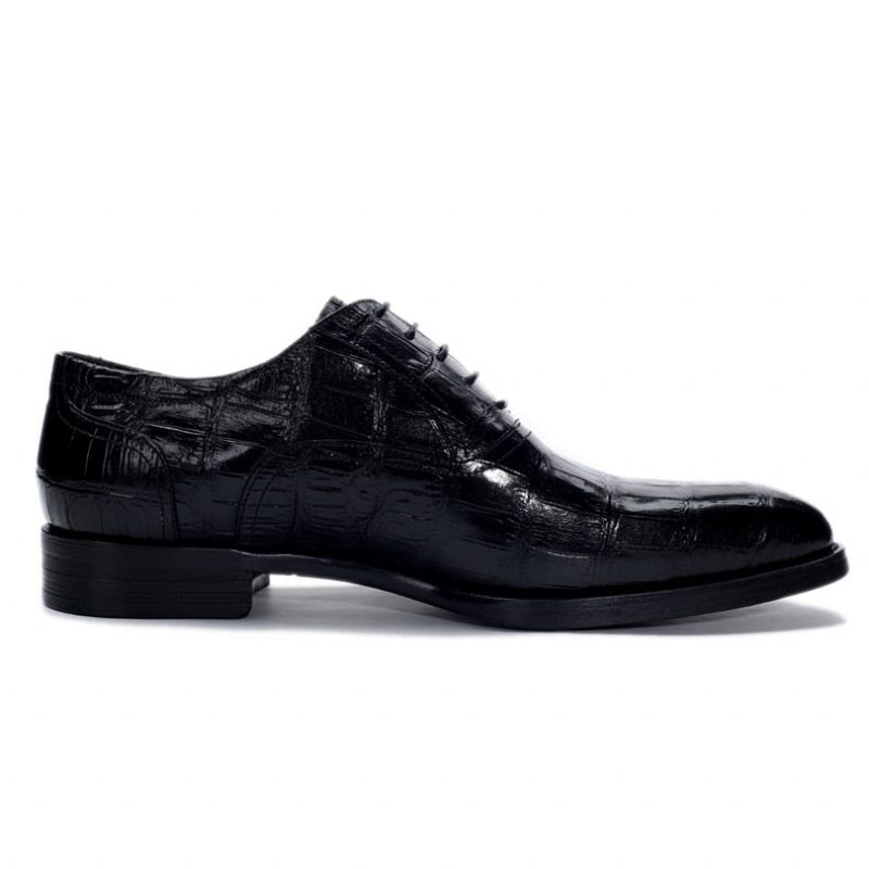 Sapatos Formais Masculinos Crocdress Luxo Padrão Crocodilo Oxford - Preto