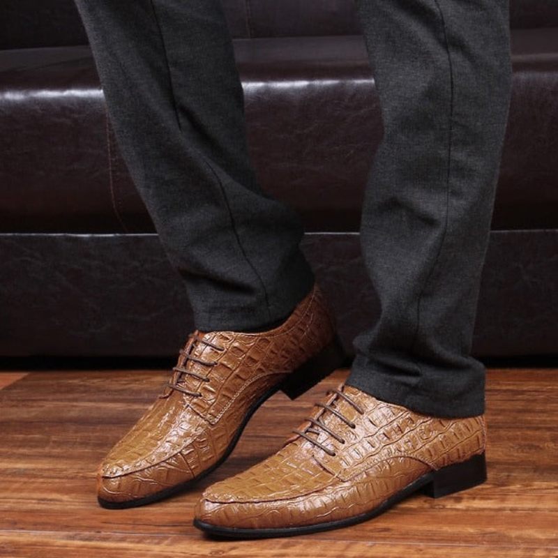 Sapatos Formais Masculinos Derby Exóticos Com Cadarços - Café