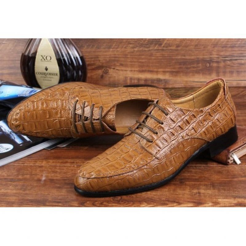 Sapatos Formais Masculinos Derby Exóticos Com Cadarços - Café