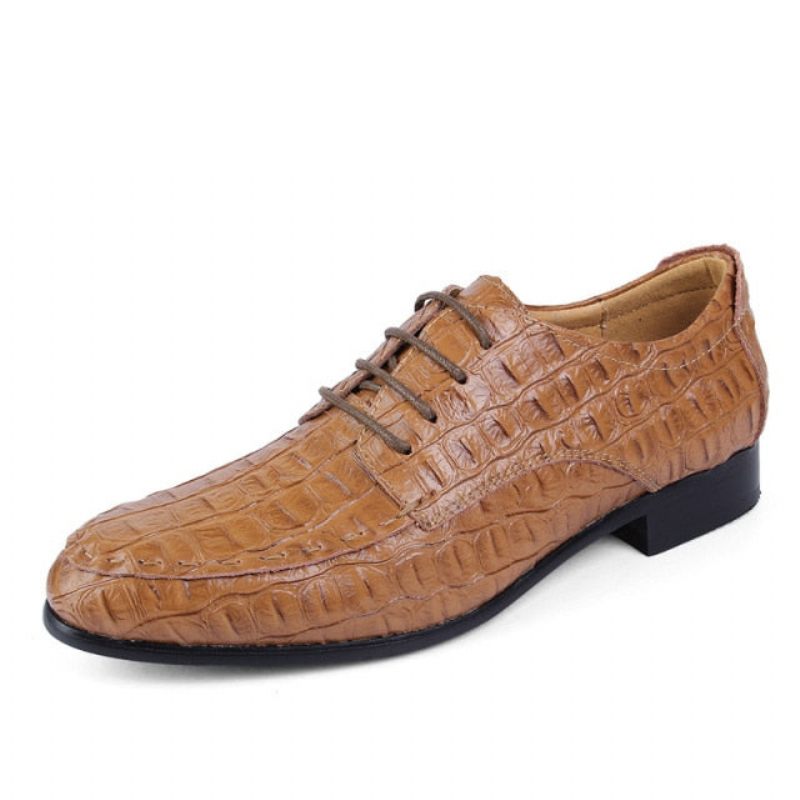 Sapatos Formais Masculinos Derby Exóticos Com Cadarços - Café