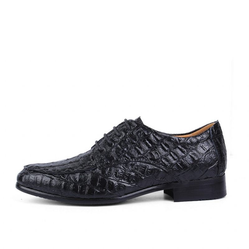 Sapatos Formais Masculinos Derby Exóticos Com Cadarços - Preto