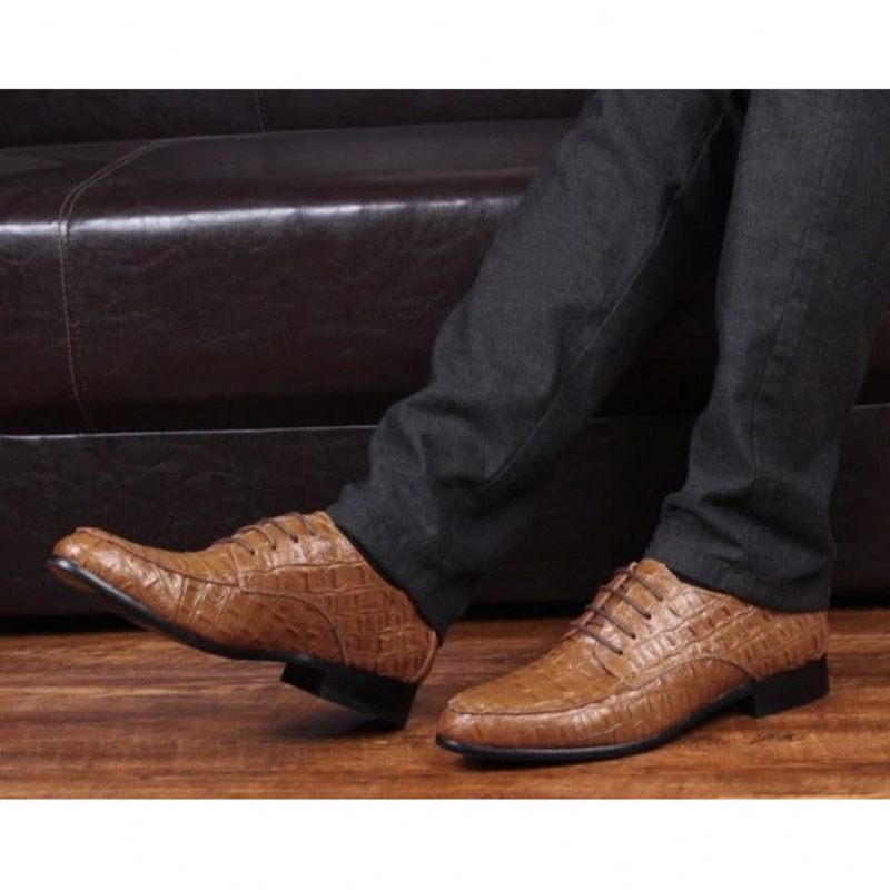 Sapatos Formais Masculinos Derby Exóticos Com Cadarços - Café