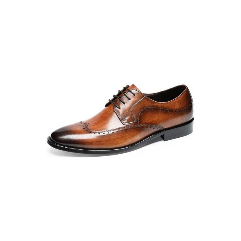 Sapatos Formais Masculinos Elegantes Derbies - Café