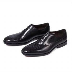 Sapatos Formais Masculinos Elegantes E Chiques Seleção Vestido Couro