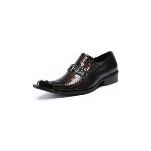 Sapatos Formais Masculinos Eleganza Biqueira Pontuda Oxfords