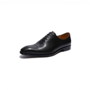 Sapatos Formais Masculinos Estilo Bolinha Exótica Brogue