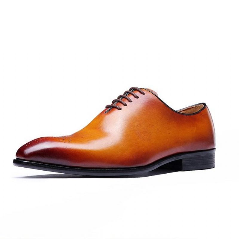 Sapatos Formais Masculinos Estilo Bolinha Exótica Brogue - Marrom