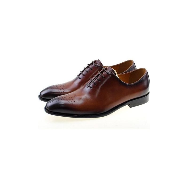 Sapatos Formais Masculinos Estilo Bolinha Exótica Brogue - Café