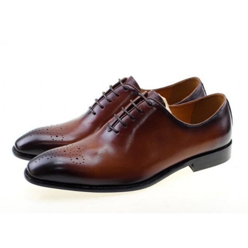 Sapatos Formais Masculinos Estilo Bolinha Exótica Brogue - Café