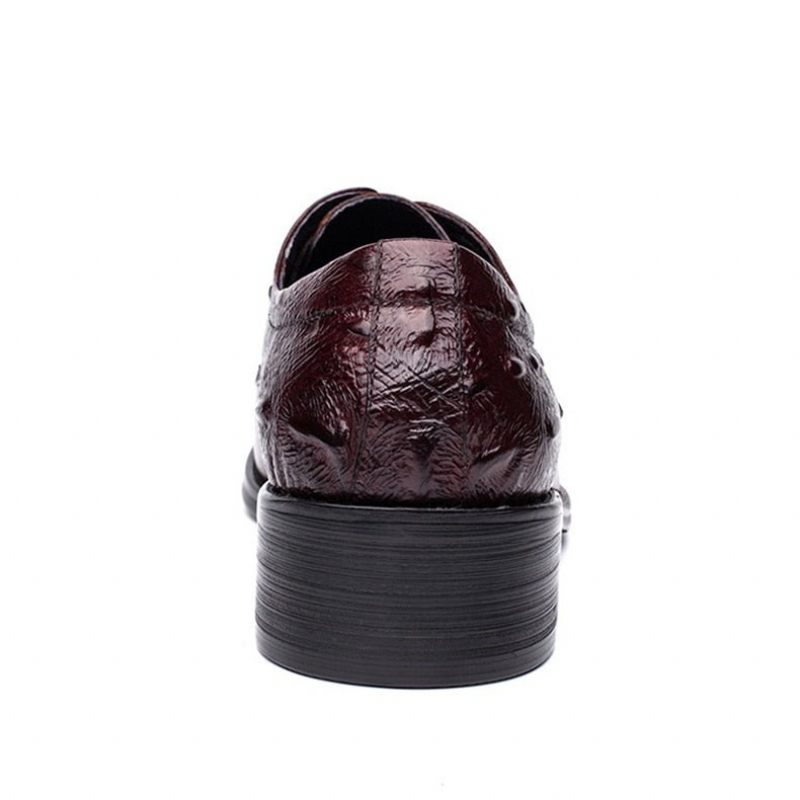 Sapatos Formais Masculinos Executivos Com Cadarço Oxford - Vermelho