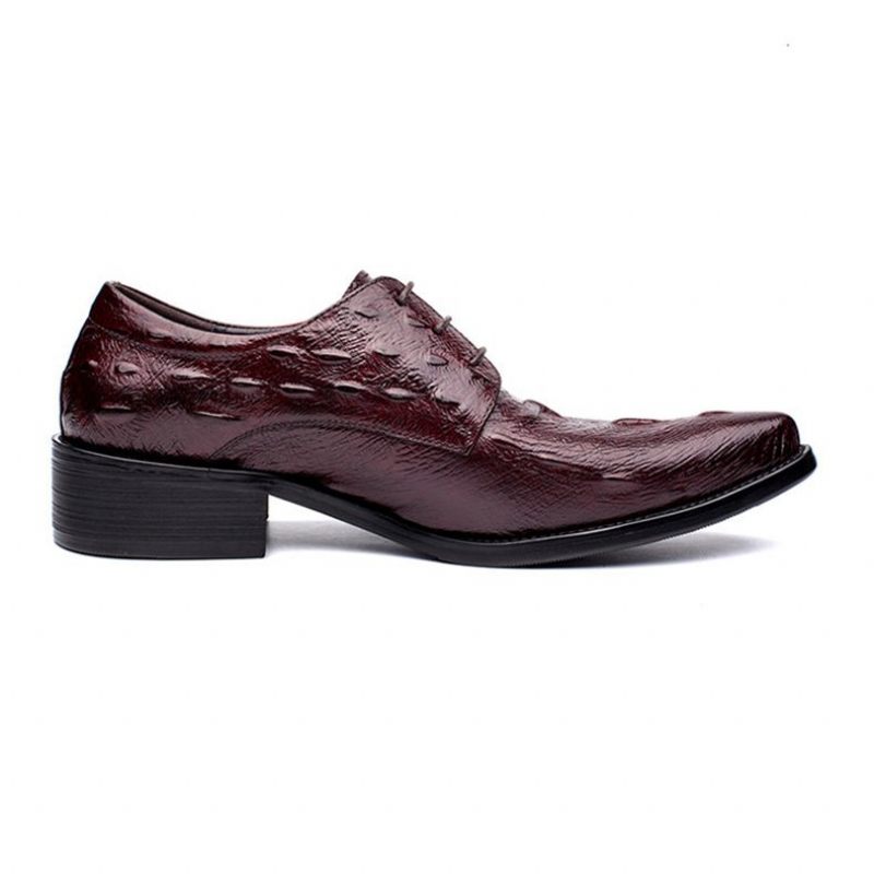 Sapatos Formais Masculinos Executivos Com Cadarço Oxford - Vermelho