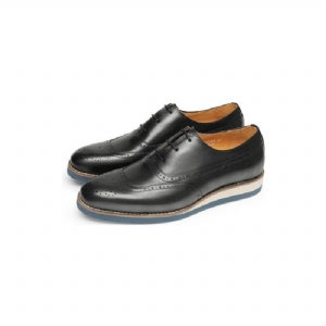 Sapatos Formais Masculinos Exóticos Com Plataforma Wingtip