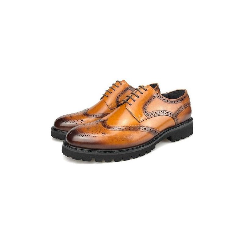 Sapatos Formais Masculinos Exóticos Couro Com Cadarço Brogue - Café