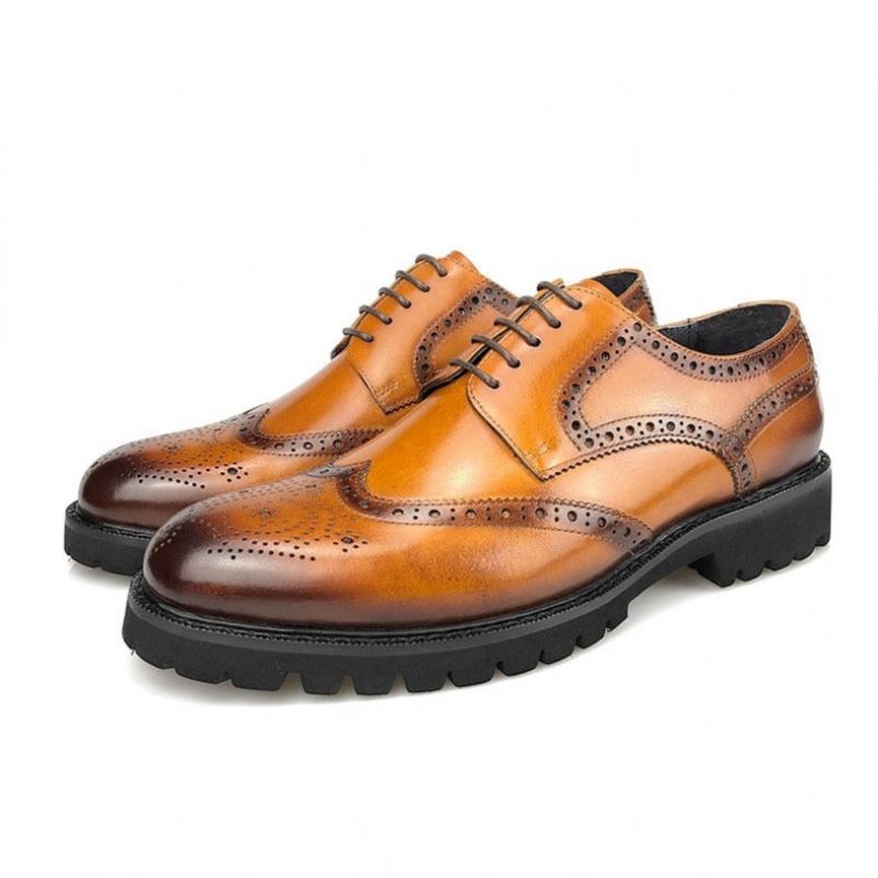 Sapatos Formais Masculinos Exóticos Couro Com Cadarço Brogue - Café