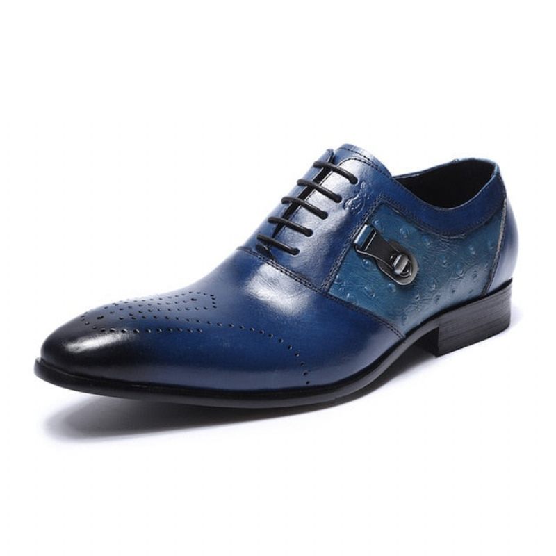 Sapatos Formais Masculinos Exóticos Lace-up Oxford Brogue Casuais - Azul