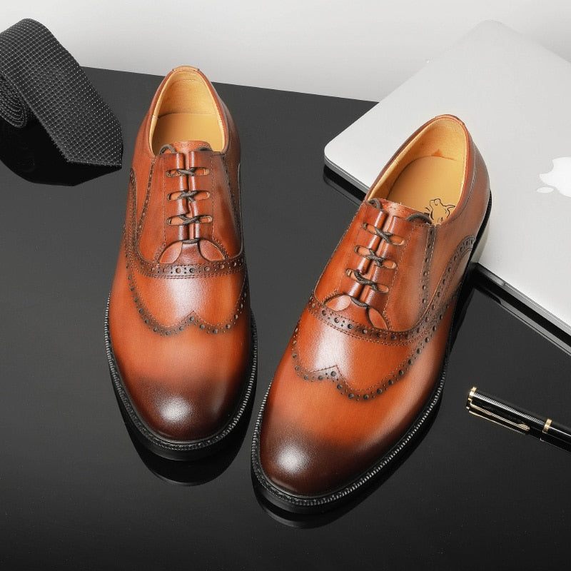 Sapatos Formais Masculinos Exóticos Oxford - Marrom