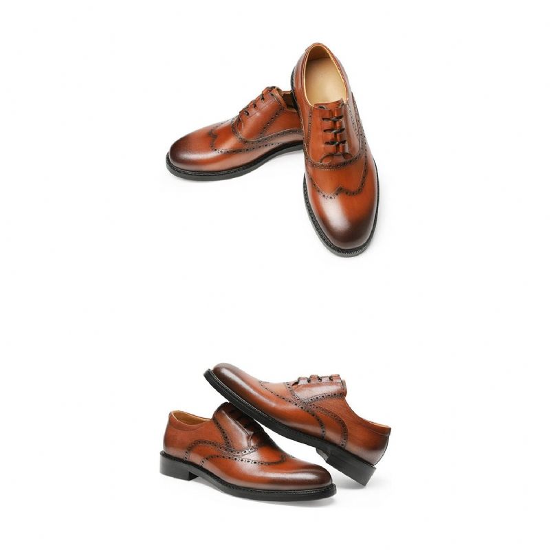 Sapatos Formais Masculinos Exóticos Oxford - Marrom