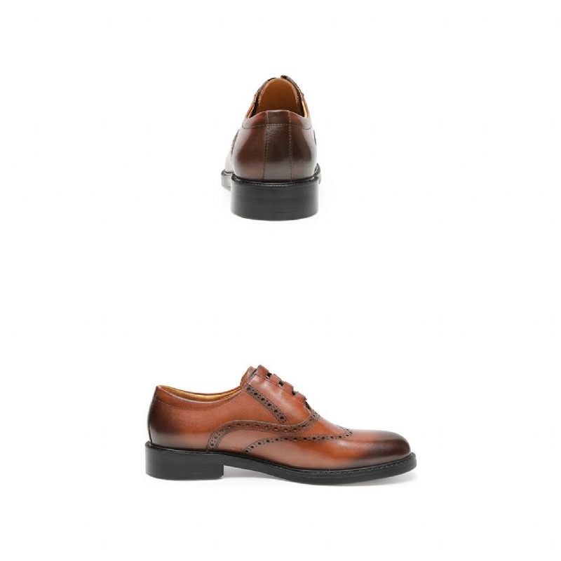 Sapatos Formais Masculinos Exóticos Oxford - Marrom