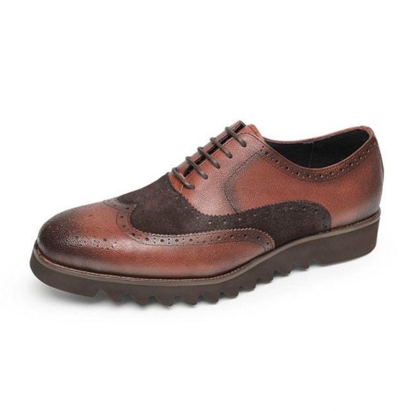 Sapatos Formais Masculinos Jacaré Luxo Wingtip Brogue Casuais - Café