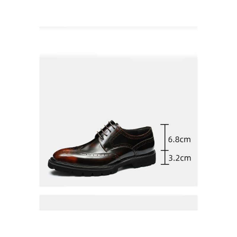 Sapatos Formais Masculinos Luxo Brogue Oxford - Café