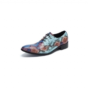 Sapatos Formais Masculinos Luxo Com Padrão Exótico Smart Derby