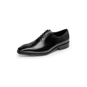 Sapatos Formais Masculinos Luxo Couro Vaca Elegância Oxford