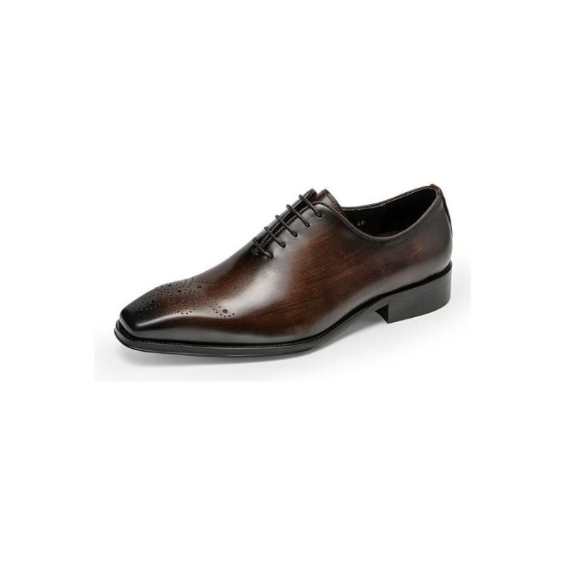 Sapatos Formais Masculinos Luxo Couro Vaca Elegância Oxford - Café