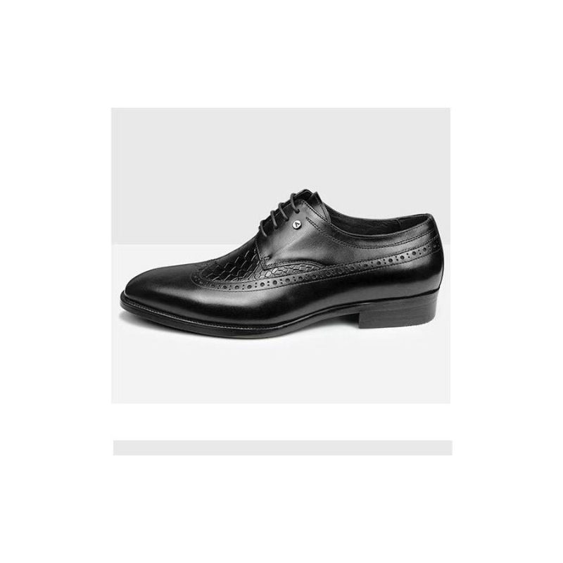 Sapatos Formais Masculinos Luxo Croccarve Sociais Bico Fino - Preto