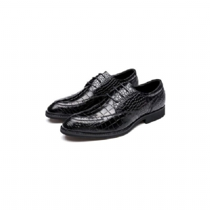 Sapatos Formais Masculinos Luxo Crocgloss Classic Brogue