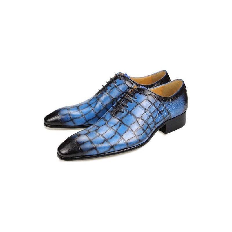 Sapatos Formais Masculinos Luxo Croctex Dedo Apontado Oxford - Azul