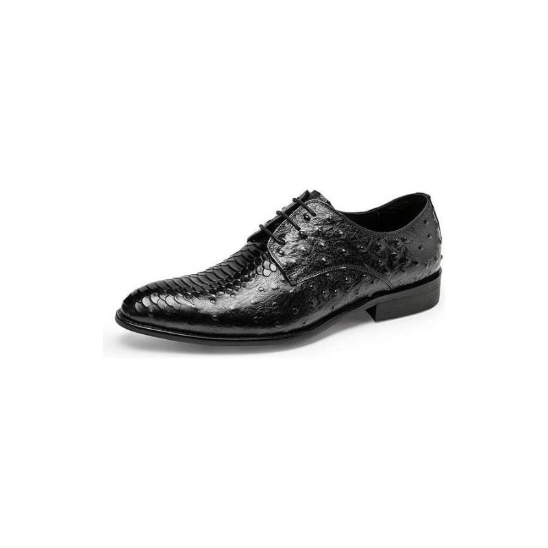 Sapatos Formais Masculinos Luxo Croctex Derbies Sociais