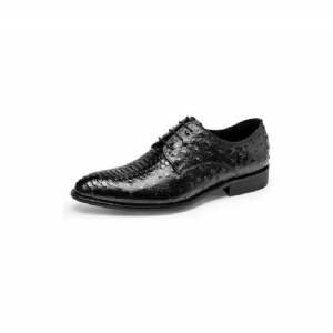 Sapatos Formais Masculinos Luxo Croctex Derbies Sociais