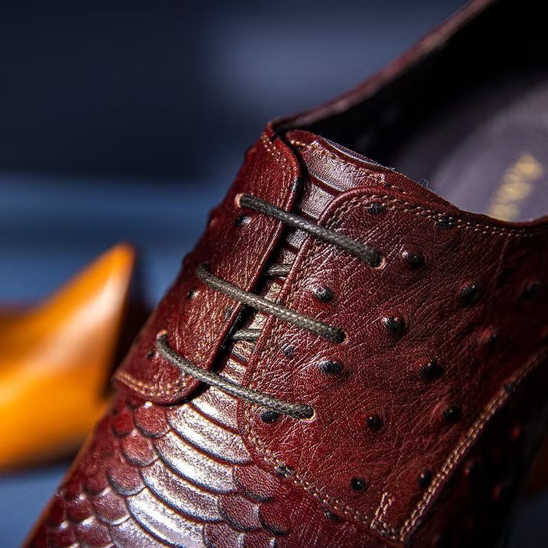 Sapatos Formais Masculinos Luxo Croctex Derbies Sociais - Café