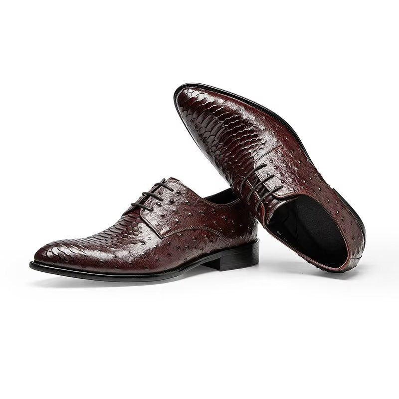 Sapatos Formais Masculinos Luxo Croctex Derbies Sociais - Café