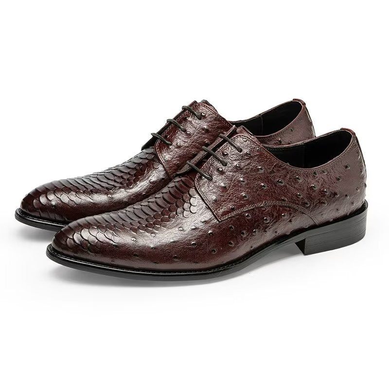 Sapatos Formais Masculinos Luxo Croctex Derbies Sociais - Café