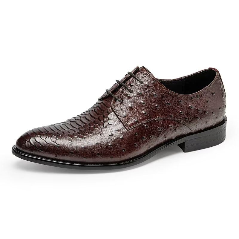 Sapatos Formais Masculinos Luxo Croctex Derbies Sociais - Café