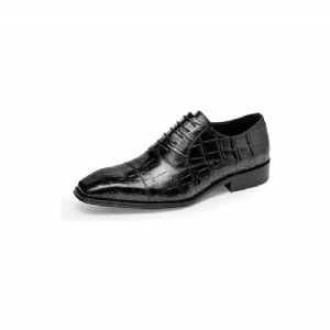 Sapatos Formais Masculinos Luxo Croctex Oxford