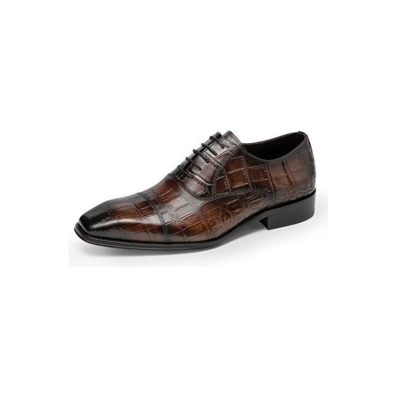 Sapatos Formais Masculinos Luxo Croctex Oxford - Café