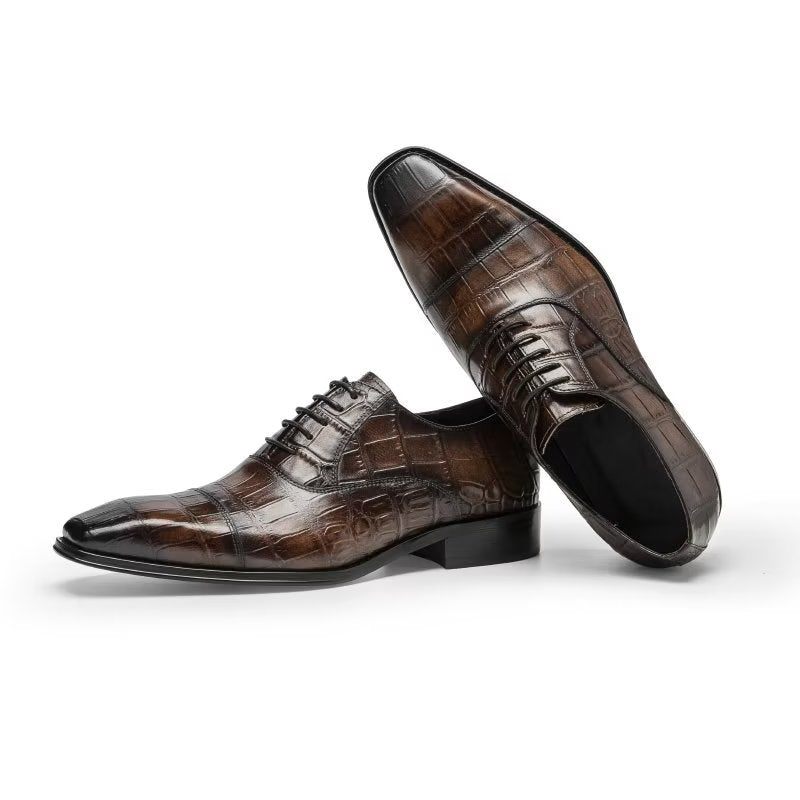 Sapatos Formais Masculinos Luxo Croctex Oxford - Café