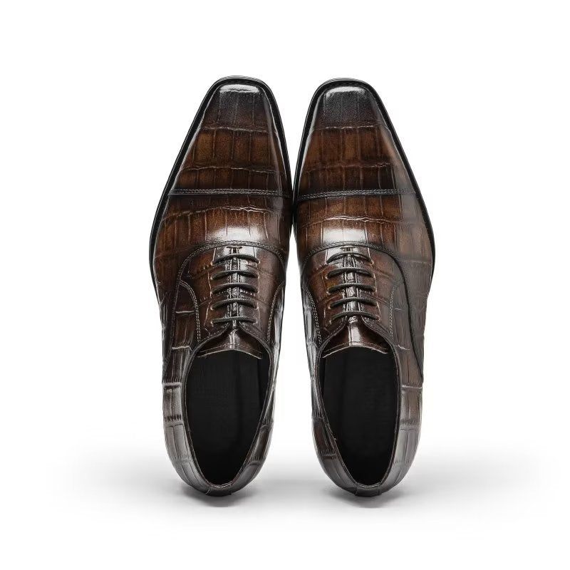 Sapatos Formais Masculinos Luxo Croctex Oxford - Café