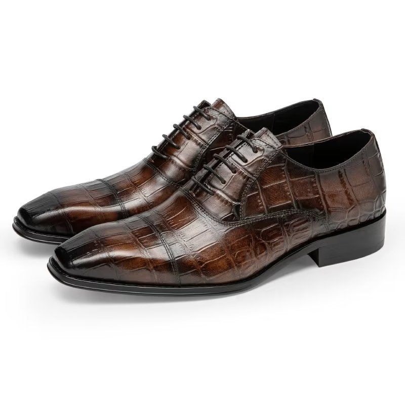 Sapatos Formais Masculinos Luxo Croctex Oxford - Café