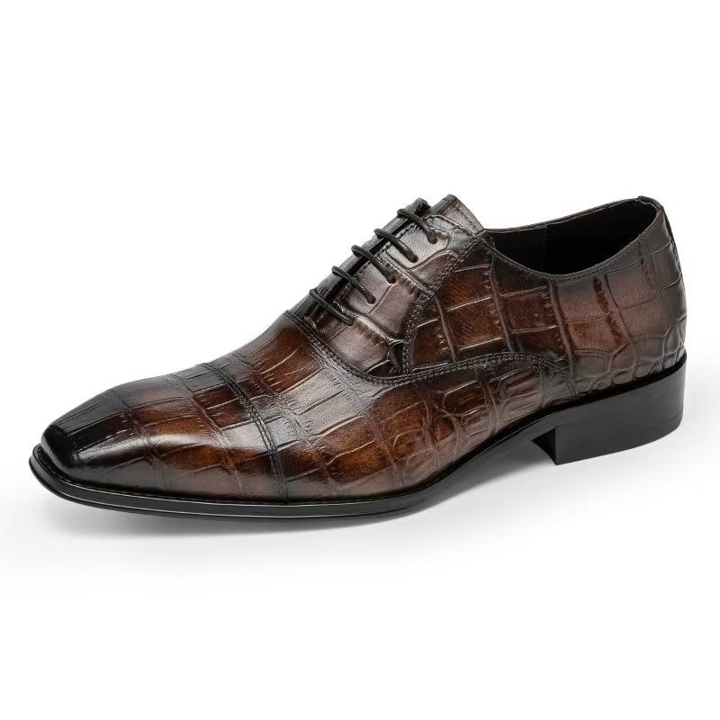 Sapatos Formais Masculinos Luxo Croctex Oxford - Café