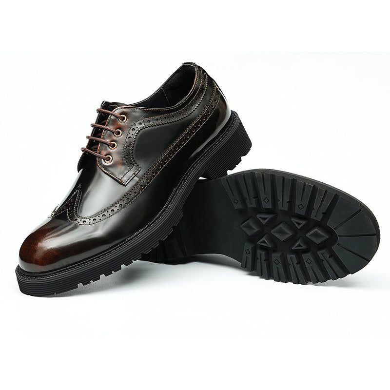 Sapatos Formais Masculinos Luxo Oxford Brogue - Café