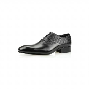 Sapatos Formais Masculinos Modish Brogue Nupcial Oxford Couro